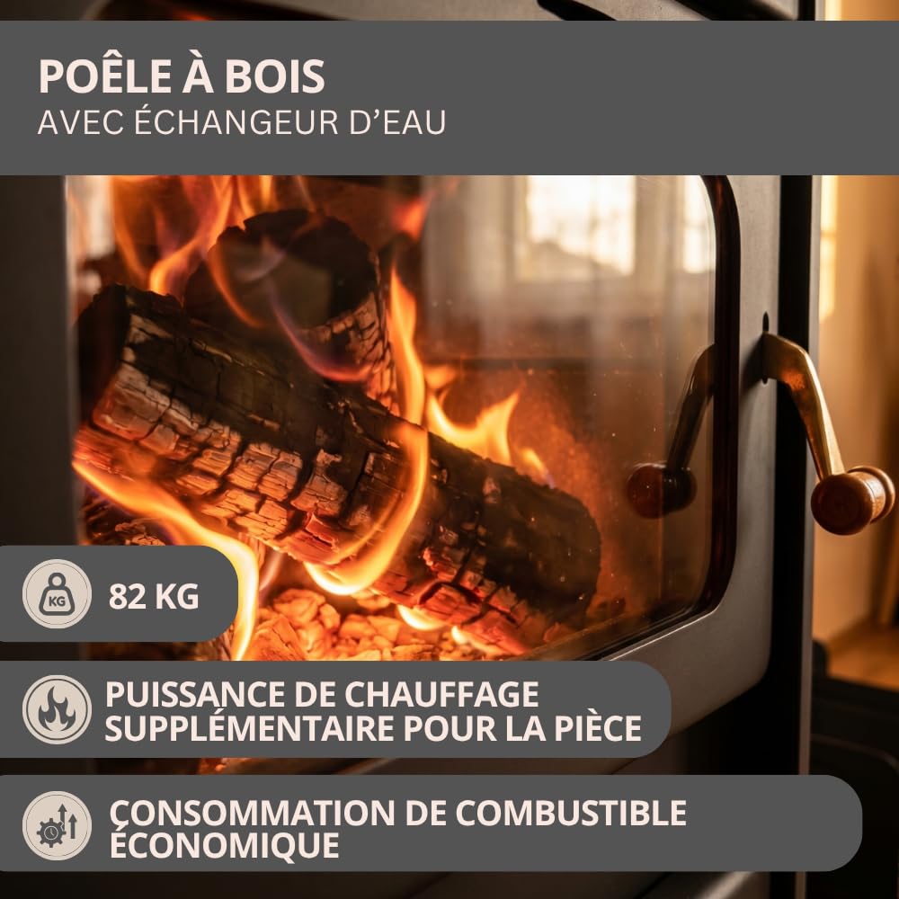 Prity S1 W10 Poêle à bois avec gaine d'eau 10 kW Chauffage central Certifié CE