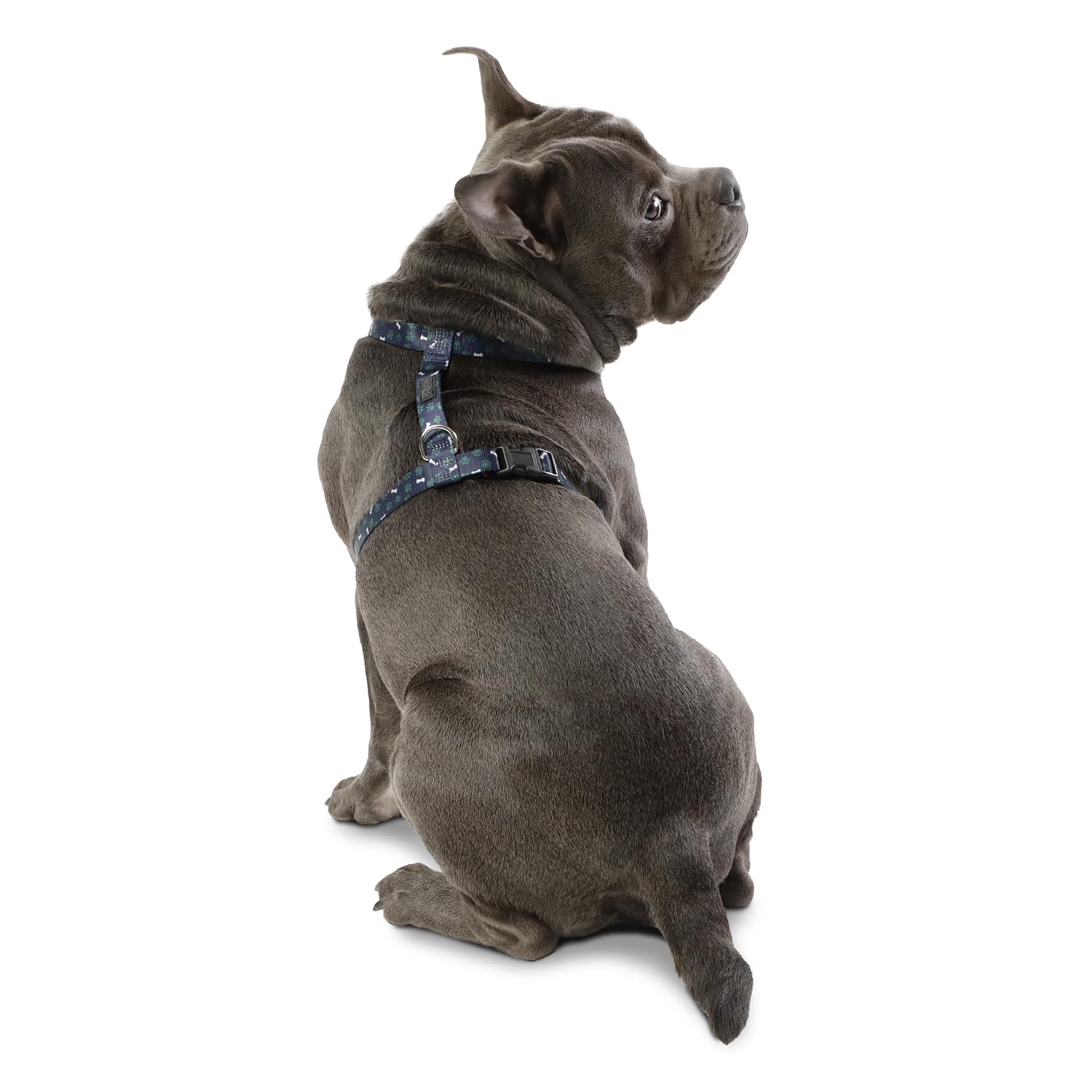 TOTTO, Medium Dog Harness, Figgo Model, Size M, Dog Breastplate, H-Type Design, Adjustable, Reduces Pressure in Trachea - Image 3
