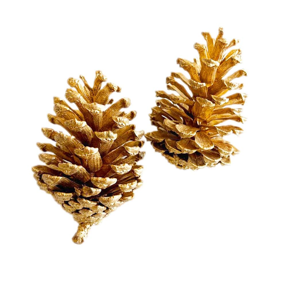 12 Stück Tannenzapfen,Weihnachten Tannenzapfen Dekoration,Natürliche Tannenzapfen Anzapfen Basteln,Christmas Ornaments Christbaumschmuck Weihnachtsschmuck,für Weihnachten Party Deko,Gold 12-15cm