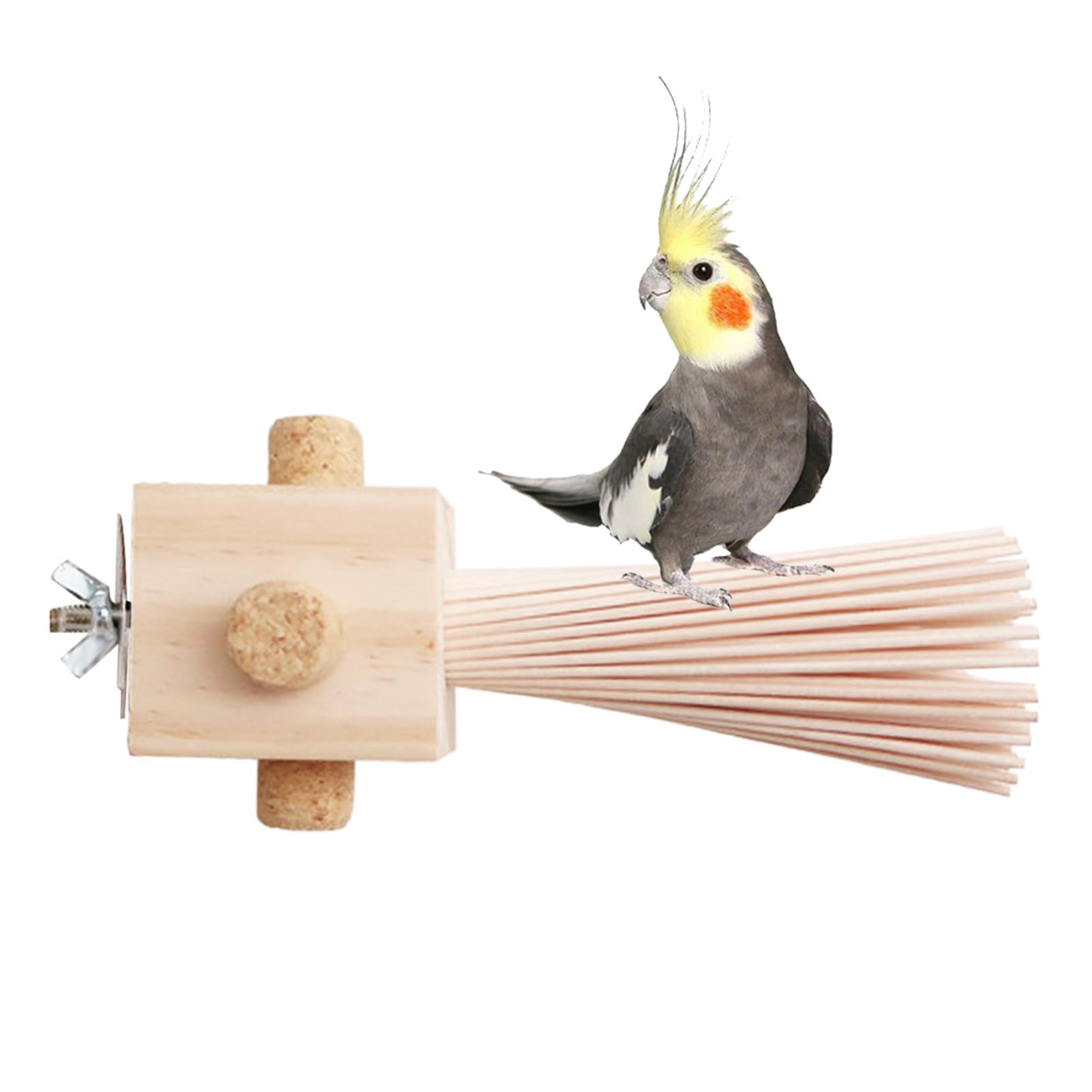 Amazon.co.jp: オカメインコ用の鳥の止まり木 | オウムの止まり木