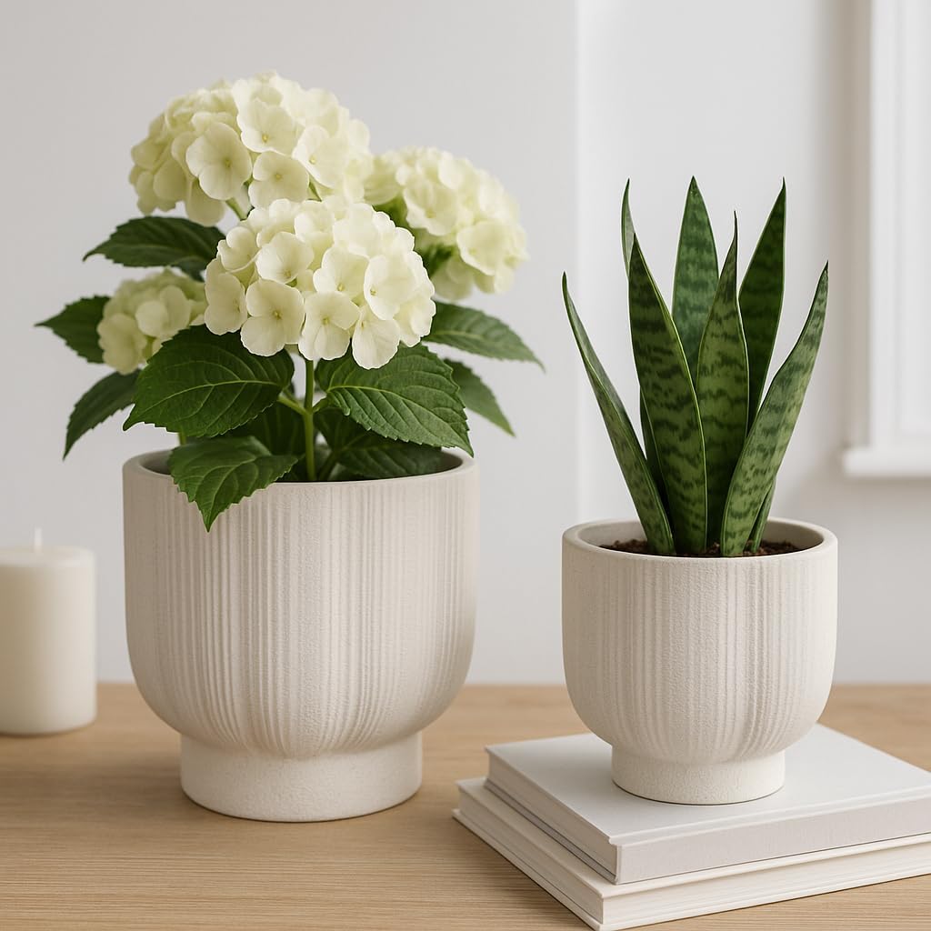 Home Decor Flower Pots and Planters – Ceramic Indoor Plant Pots with Pedestal Base for Succulent, Orchids, or House Plants – Perfect Outside Planters for Patio and Garden Decor – 8", 6" White