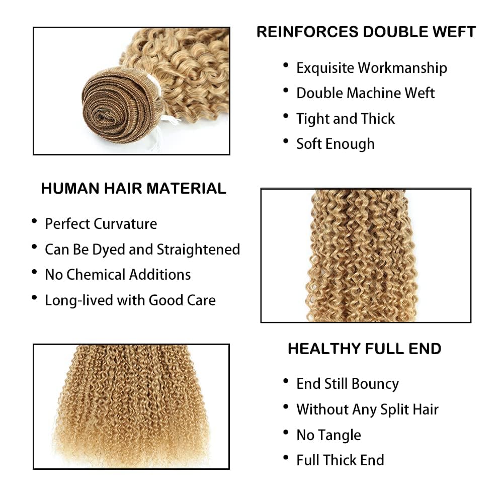27 Color Bundles Human Hair Curly Blonde Bundles 24 26 28 Inch Double Weft Unprocessed Honey Blonde Hair Bundle Extensions Color 27 Curly Bundle