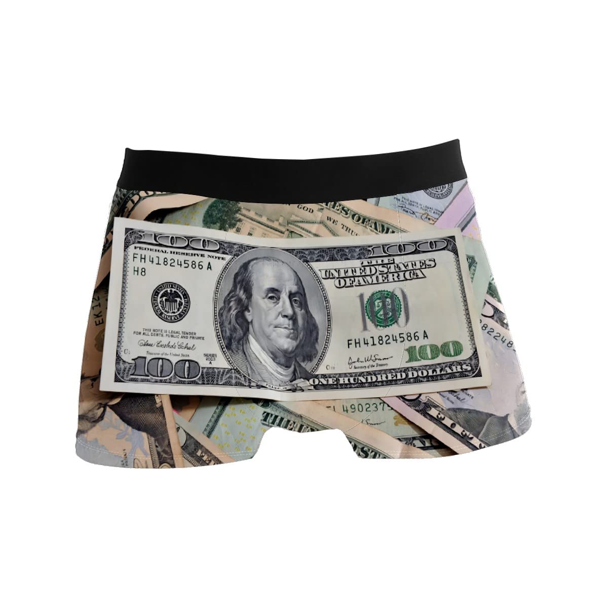 Clayu Men's One Color Boxers Briefs Man Support Underwear Stretch Low Rise Boxer Brief Trunks American Dollar Money（1Pcs*L