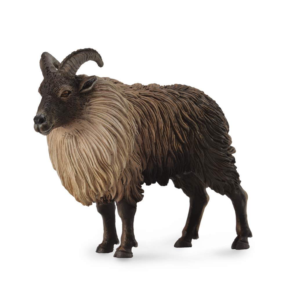CollectA Wildlife Himalayan Tahr Toy Figure - Authentic Hand Painted Model