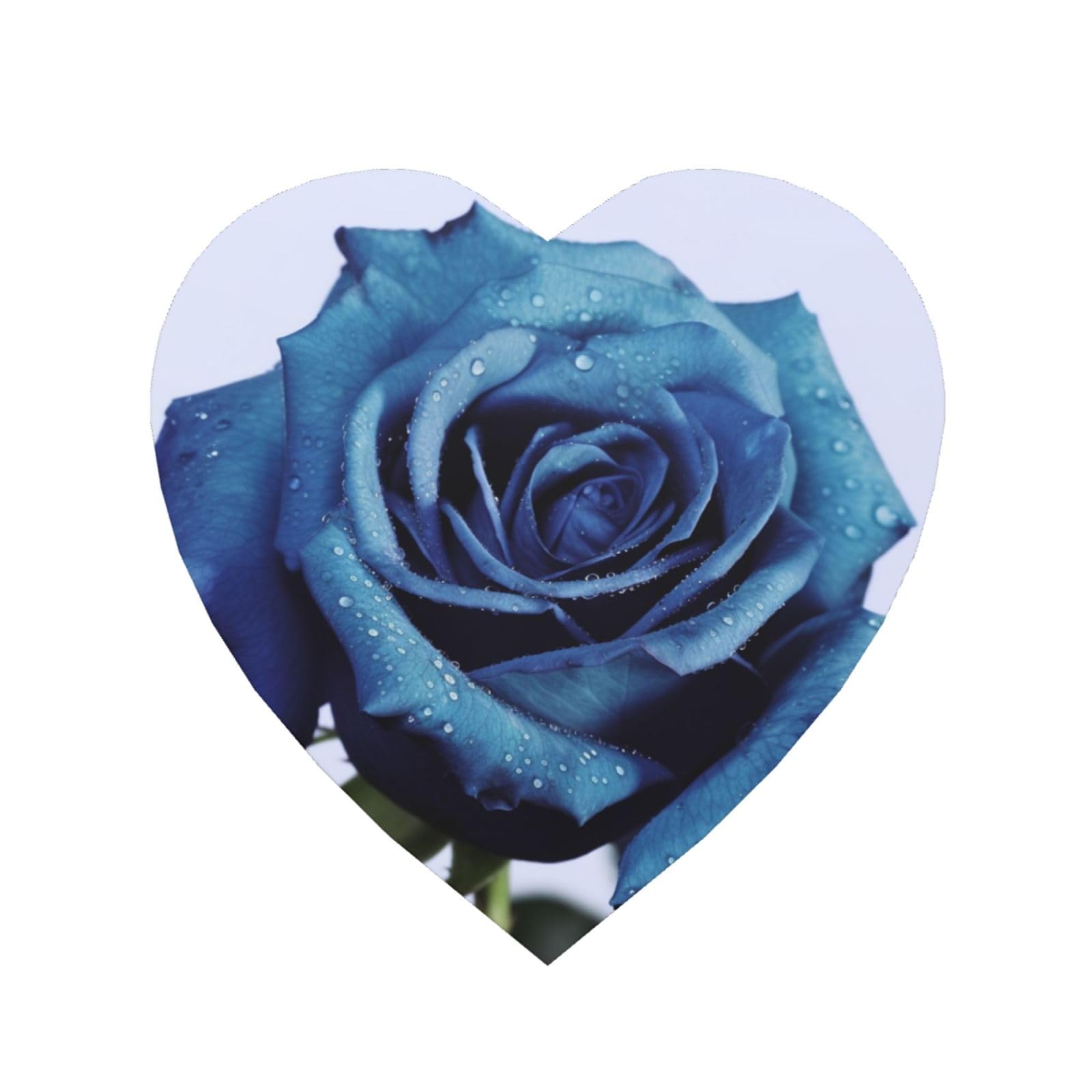 Blue Rose Blooms Fridge Magnets Small Strong Refrigerator Magnets Cute Decorative Magnets Fridge Sticker Office Magnets for Fridge, Whiteboard, Kitchen Accessories