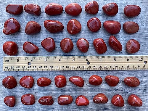 Image of GAF TREASURES 1 /2 LB Red Jasper Tumbled Stones, Polished Red Jasper Gemstone, Red Jasper Healing Crystals (Red Jasper)