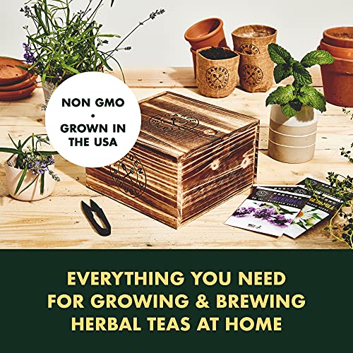Indoor Herb Garden Seed Starter Kit - Herbal Tea Growing Kits, Grow Medicinal Herbs Indoors, Lavender, Chamomile, Lemon Balm, Mint Seeds for Planting, Soil, Plant Markers, Pots, Infuser, Planter Box - Thumbnail 2