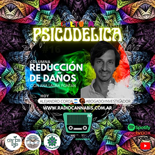 COLUMNA SOBRE REDUCCI&Oacute;N DE DA&Ntilde;OS I Podcast Por  arte de portada