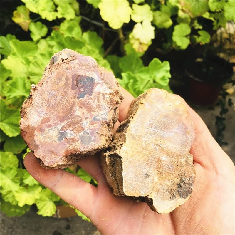 Decoración de cristal natural de 1.5kg con pulidor de madera para interiores 3