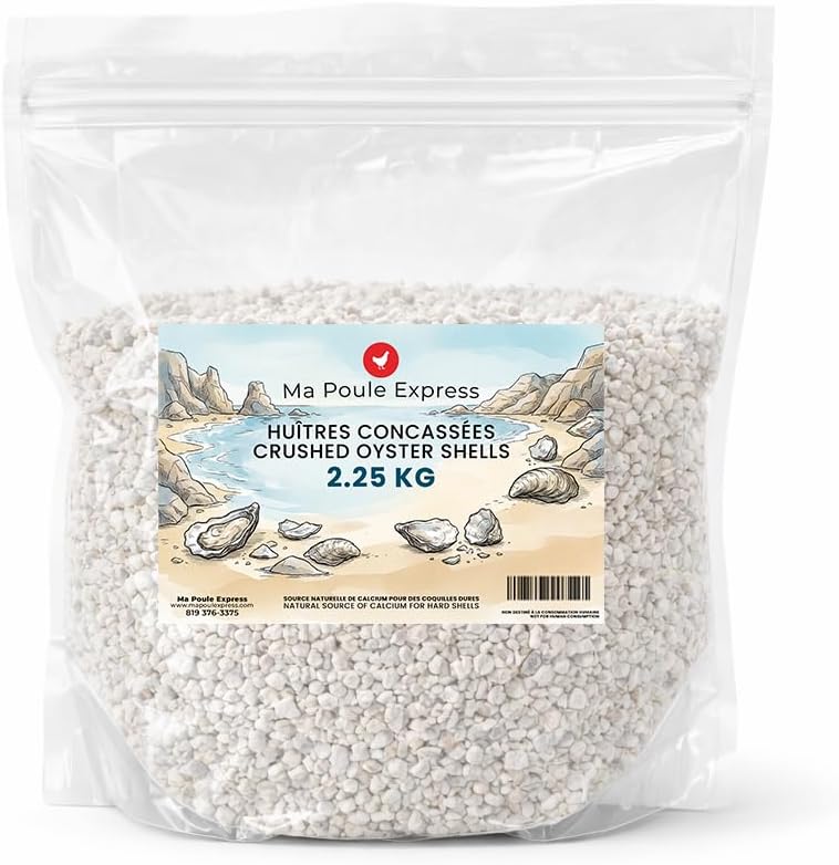 Ma Poule Express – Proudly Canadian – Poultry Oyster Shell (Crushed) – 2.27 kg (5 lb) | Natural Calcium Supplement for Laying Hens | Strong Eggshell Support