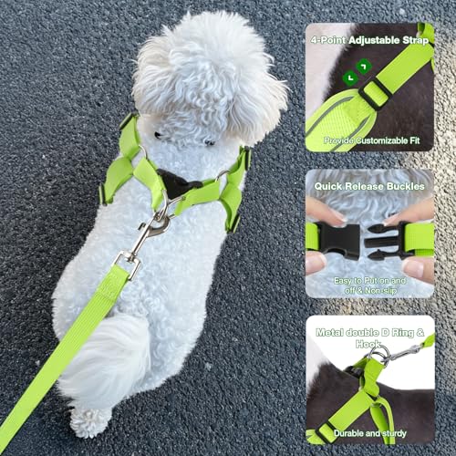 Feycig Hundegeschirr Kleine Hunde, Anti Zug Einstellbar Reflektierend Geschirr, Atmungsaktiv Weiches aus Mesh Geschirr Hund Leichtes Welpengeschirr Brustgeschirr mit Griff (Grün, Small)