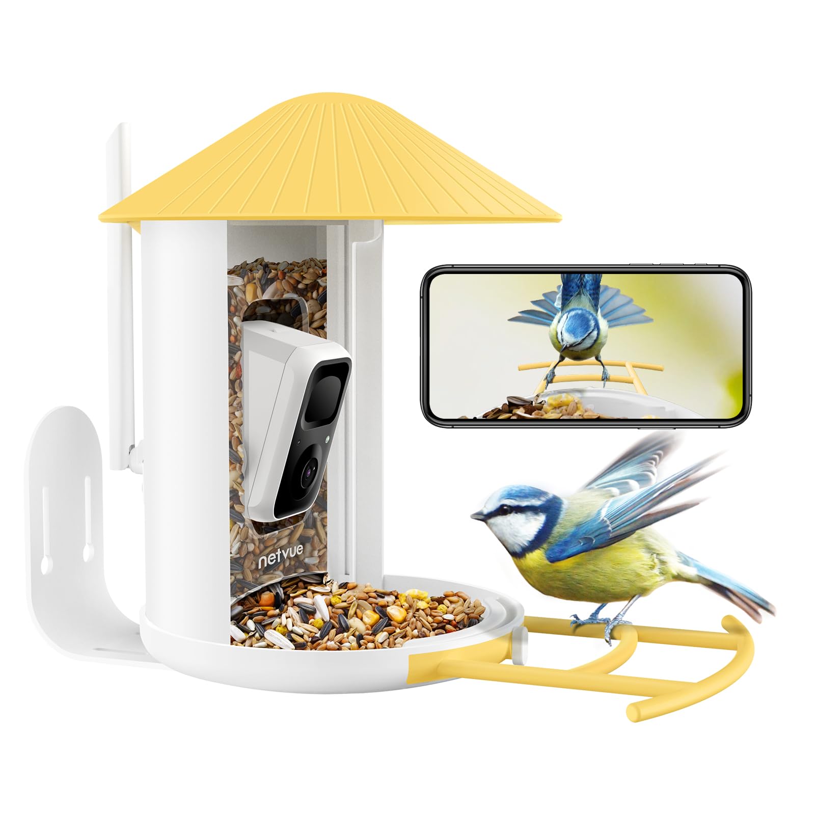 NETVUE Birdfy Lite-Comedero para Pajaros con Cámara, Cámara de Observación de Pájaros, Captura Automática & Grabación de Video de Pájaros, App de Notificación de Aves, Comedero Pajaros Exterior