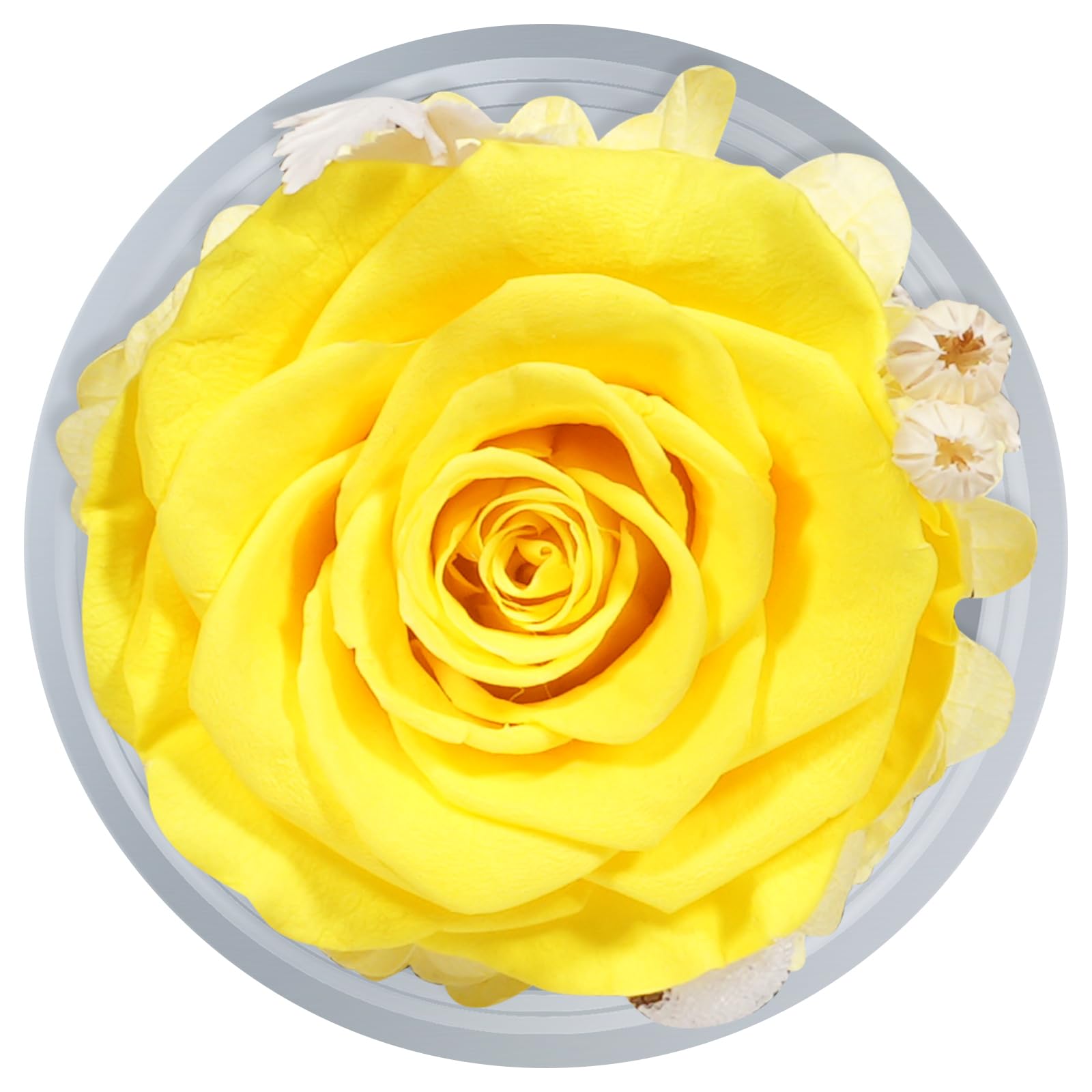 Sunia Rosa Eterna Regalos Originales para Mujer, Flores Preservadas Regalo Madre, Flore Eterna con Figura Ángel Regalo Cumpleaños Mujer Mama Abuela, Regalos Navidad San Valentin Dia de la Madre
