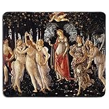 Material: Glatte Polyesteroberfläche & Gummibasis