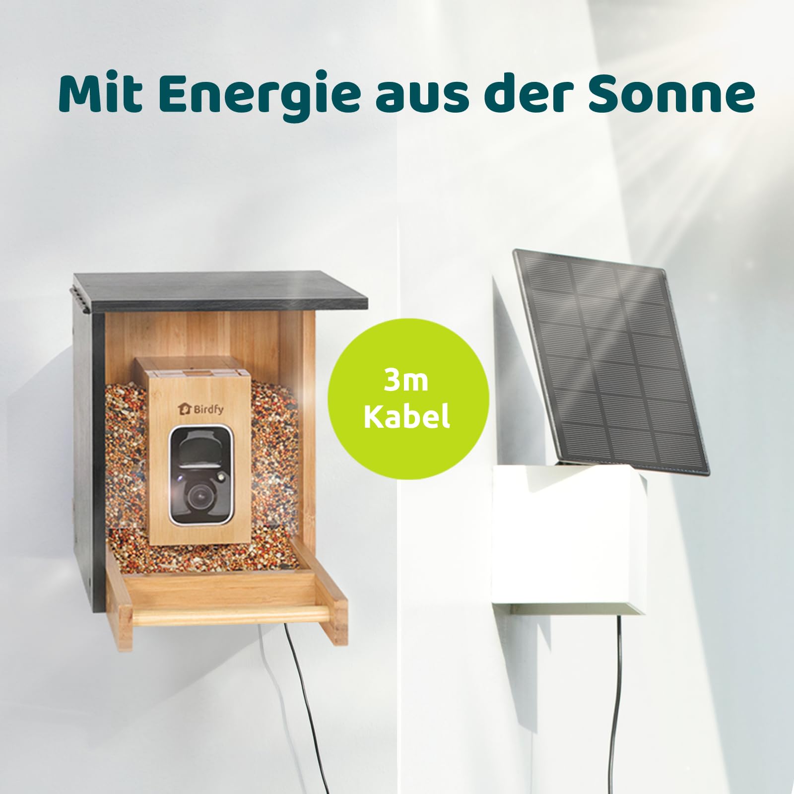 NETVUE by Birdfy Comedero Pajaros Exterior, Comederos para Pajaros con Camara, Bambú Ecológico/Renovable, Observación de Aves en Tiempo Real para App, Captura Automática, Notificación Instantánea