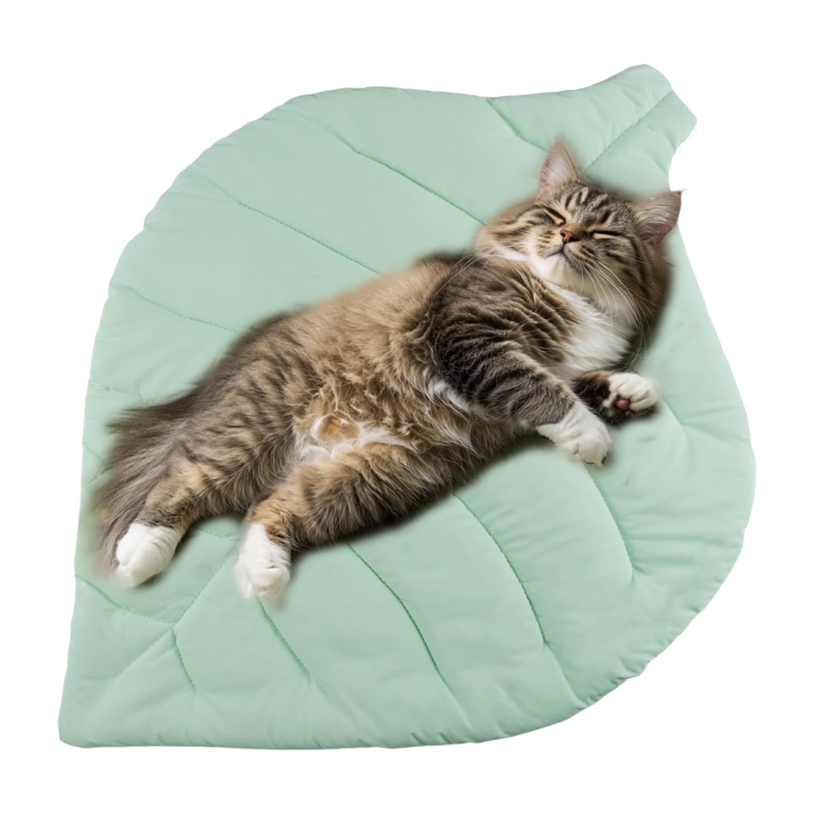 Matelas rafraîchissant pour chenil été extérieur plage piscine et transport