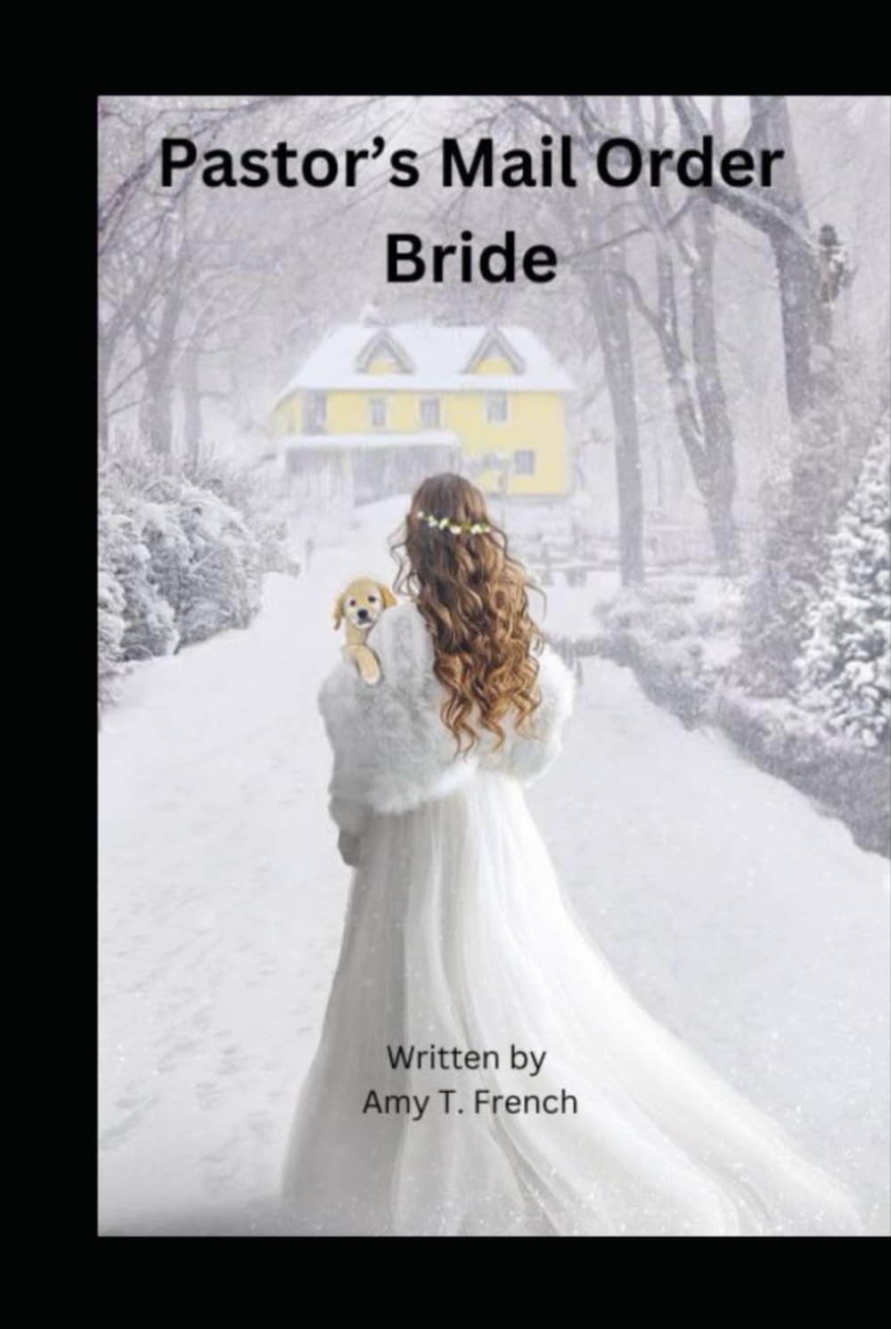 Pastor's Mail Order Bride: 4th in the Terry Town Series (Terry Town Mail Order Bride Series)