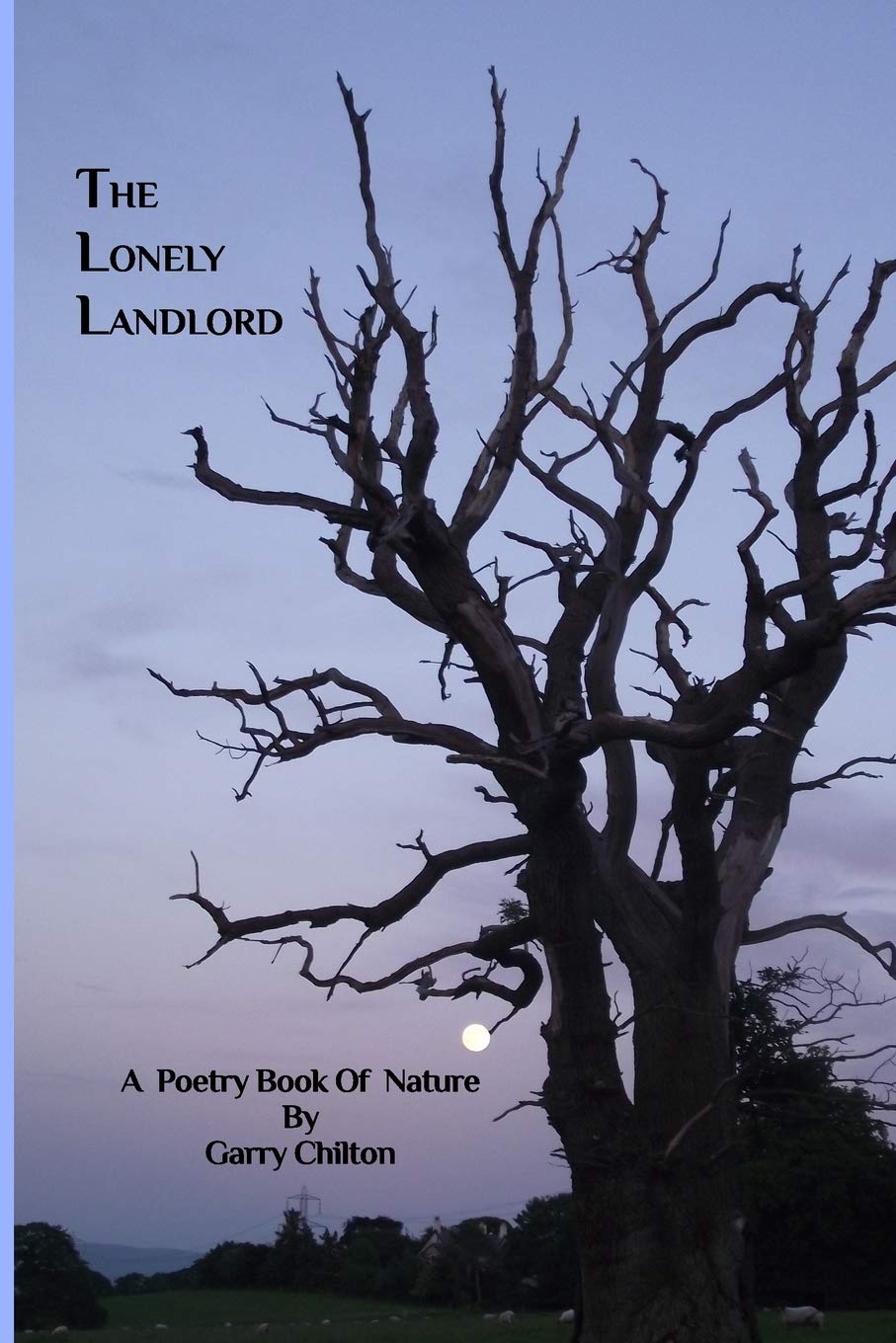 The Lonely Landlord: Nature Poetry Book