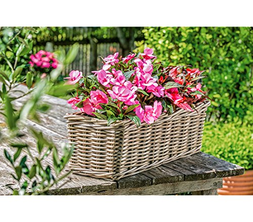 Dehner Rattan Pflanzkasten, ca. 30 x 15 x 15 cm, Rattangeflecht, grau/braun (Packung mit 2) – Ansicht 5