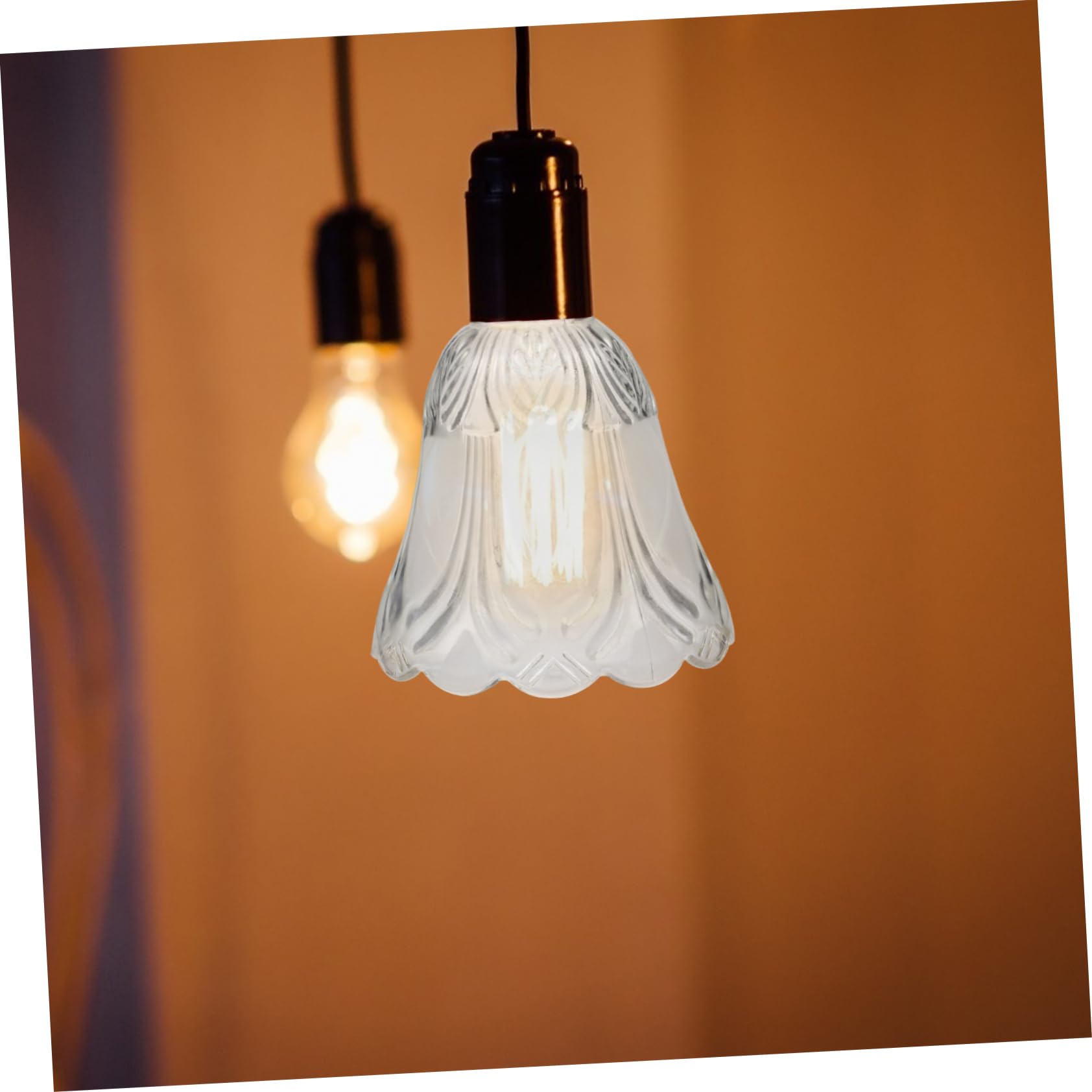 Coperchi Lampada in Vetro Trasparente, Decorativi, 2 Pezzi