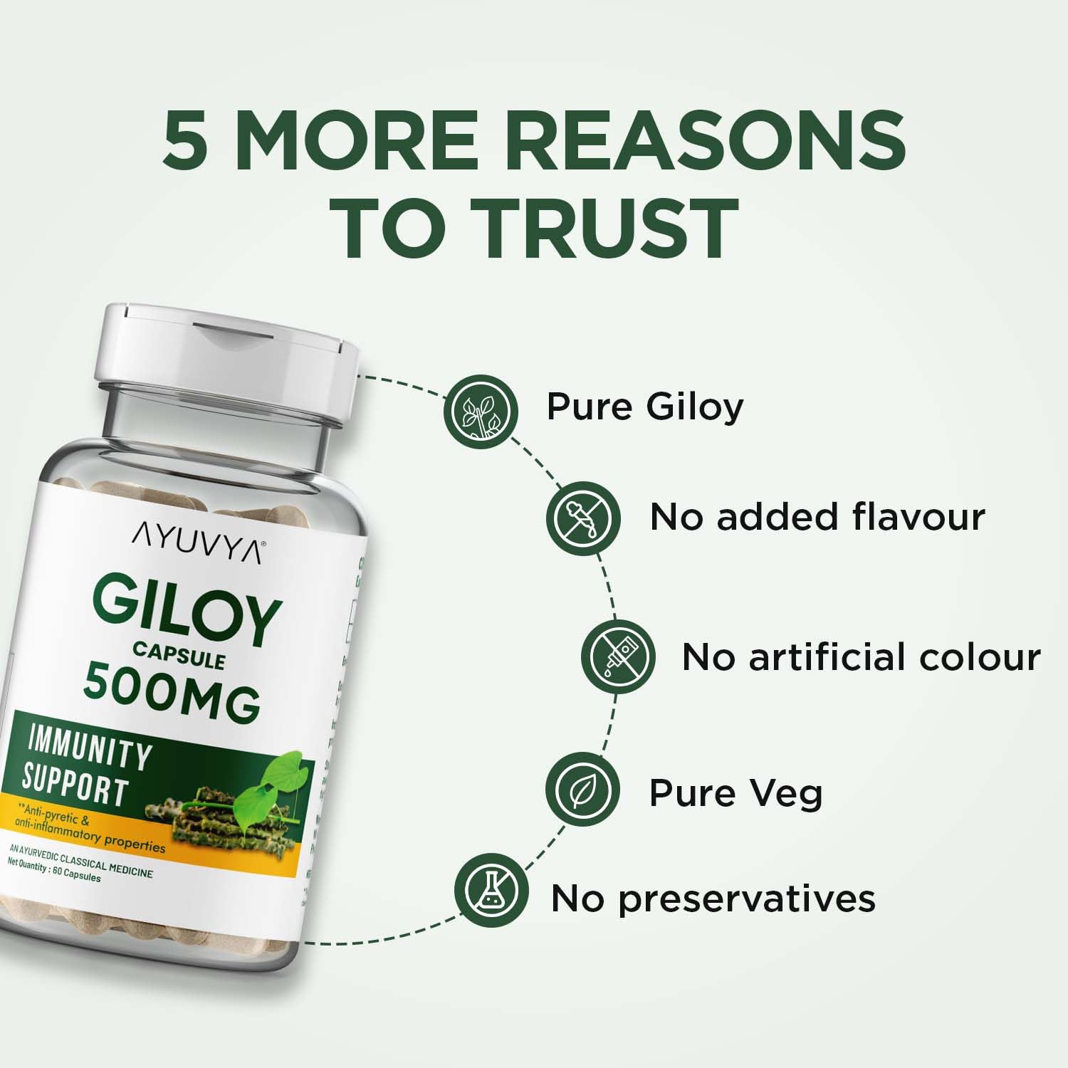 Ayuvya Giloy Capsules - 500mg Pure Guduchi Powder & Extract - Immunity Booster & Liver Support Supplement, 60 Capsules (Pack of 2) | As Seen on Shark Tank 4