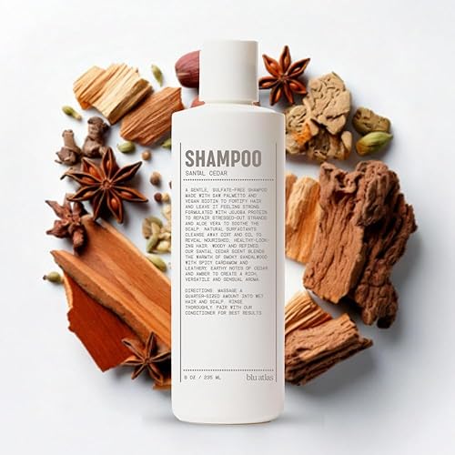 Blu Atlas Champú natural para hombre Orgánico, sin sulfatos ni parabenos Limpieza profunda e hidratante Aroma de cedro Santal Hecho en Estados