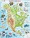 Larsen A32 Nord America, Mappa Fisica con Animali, Edizione Inglese, Puzzle Incorniciato con 66 Pezzi