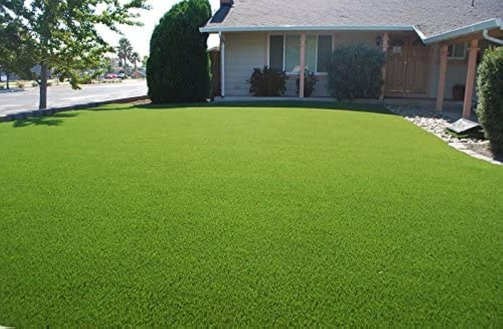 Mexican carpet grass seeds for lawn (5000 seeds)-image-20