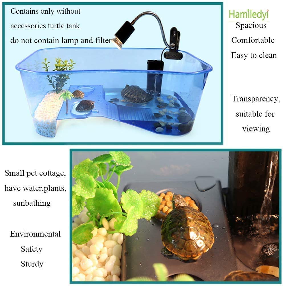 Pet Turtle Tank As Water