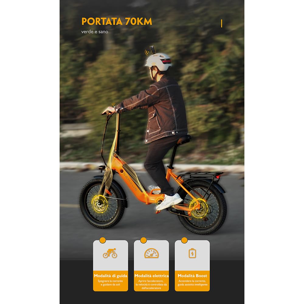 20F213 e-bike pedelec pieghevole con pneumatico da 20 pollici, motore da 250W 80N.m, batteria agli ioni di litio da 36V per una lunga autonomia, e-bike per donne e uomini, Shimano a 7 velocità