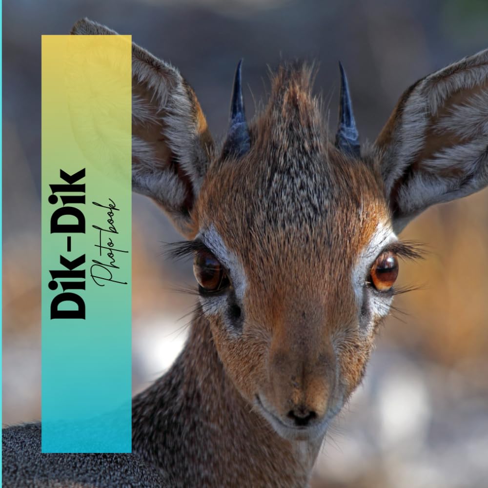 Dik-Dik: Photo book
