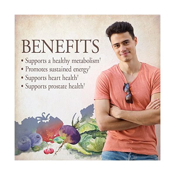 Garden-of-Life-Multivitamin-for-Men-mykind-Organic-Mens-Once-Daily-Whole-Food-Vitamin-Supplement-Tablets-Vegan-60-Count Garden of Life Organics Multivitamin for Men - Men's Once Daily Whole Food Vitamin Supplement Tablets, Vegan, 60 Count