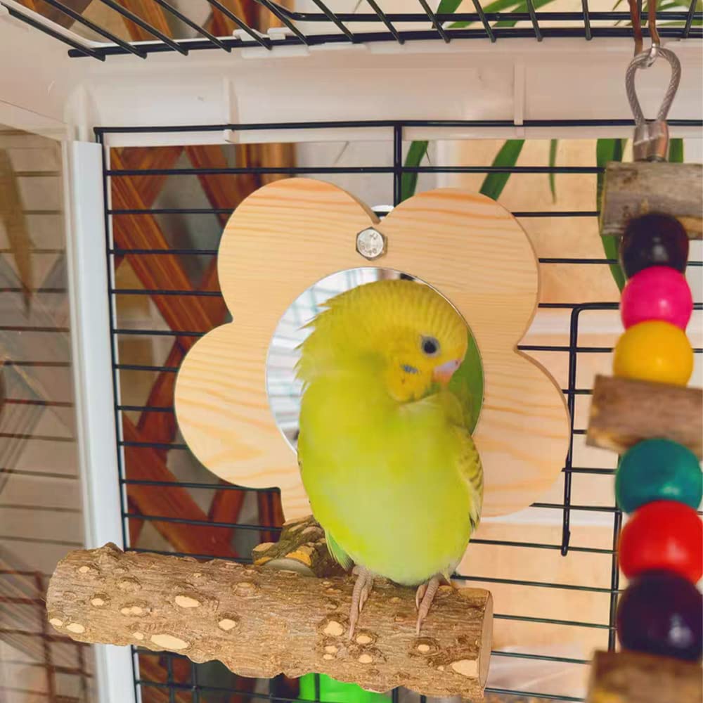 Specchio Giocattolo per Uccelli, Trespolo per Pappagalli, Giocattolo da Masticare a Specchio, Giocattoli dei Pappagalli degli Uccelli