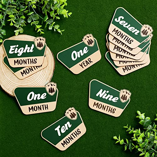 Huray Rayho 12 Pcs National Park Baby Monthly Photo Props Cards R...
