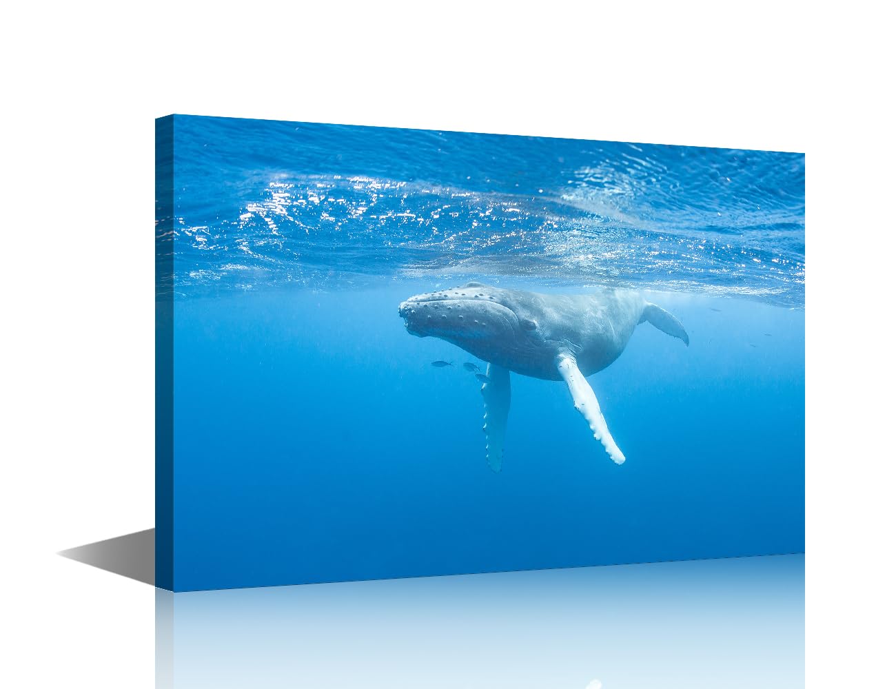 TISHIRON TUMOVO House Decorations Whales Wall Pictures for Living Room Animal Canvas Wall Art Modern Wall Painting 1Panel Prints Wall Art on Canvas Framed Ready to Hang 18x12in