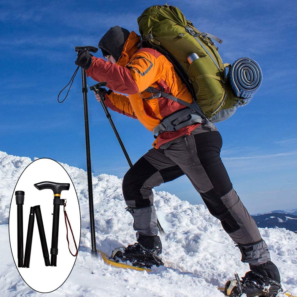 Ducomi Bastone Pieghevole da Passeggio Regolabile in Alluminio - Bastoni Anziani, Donna Uomo - Impugnatura Ergonomica, Leggero, Trasportabile e Durevole - Sostegno e Aiuto per la Mobilità (Silver)