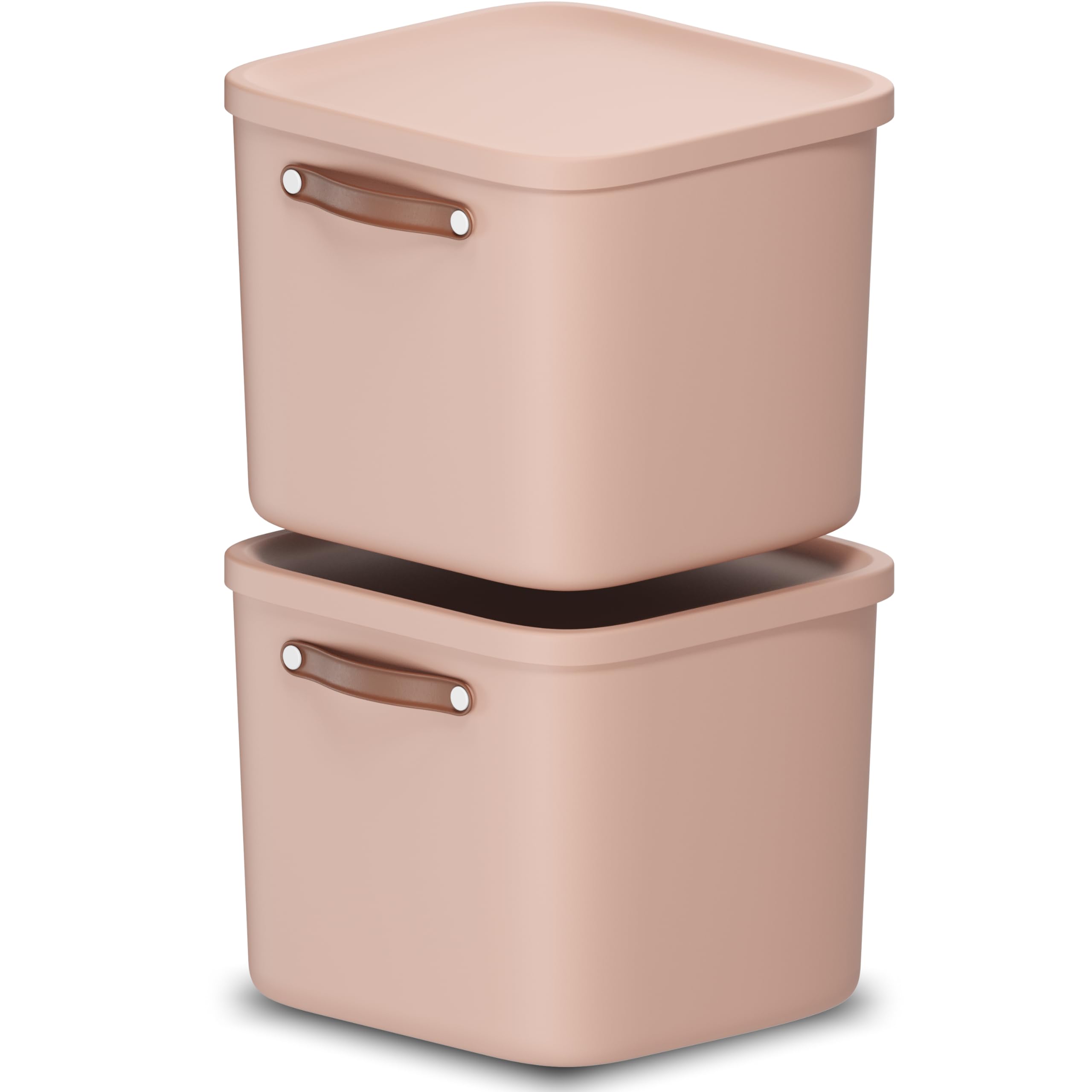 Rotho Maloja Aufbewahrungsbox mit Deckel groß 2er-Set 40 L stapelbar Rosa | Aufbewahrungsboxen, Boxen Aufbewahrung, sicher verschließbar, stapelbar und modular, mit Griff, pflegeleicht, 2er-Set in Rosa