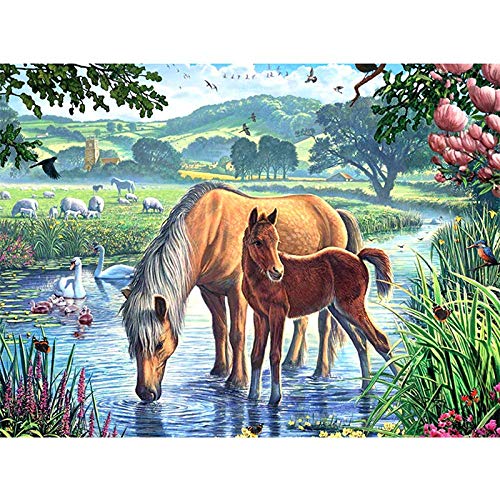 Jigsaw Puzzle| Horse In The River Jigsaw | 300 Pieces of Puzzle