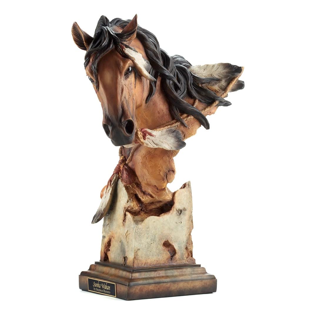 Horses of the Sun ロバート・ヴァヴラ Horses of the Sun by Robert Vavra (1995, Hardcover) for sale
