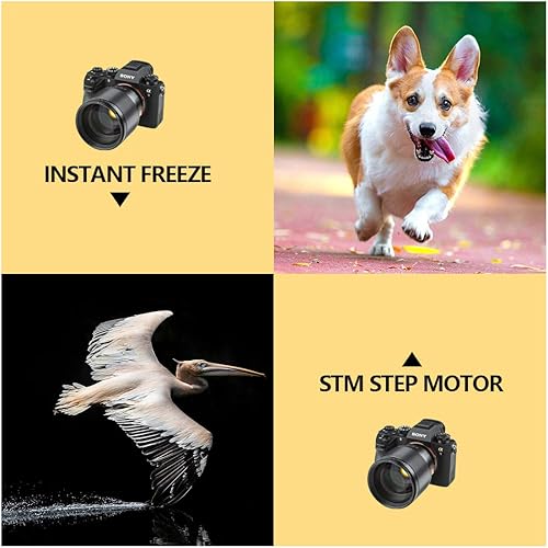 Vista 47 de VILTROX Lente de montaje de 0.512 in f1.4 F/1.4 E, lente gran angular Aps-C Prime para cámara Sony E Mount A9/a7RIV/a7RIII/a7III/a7SIII/a7C