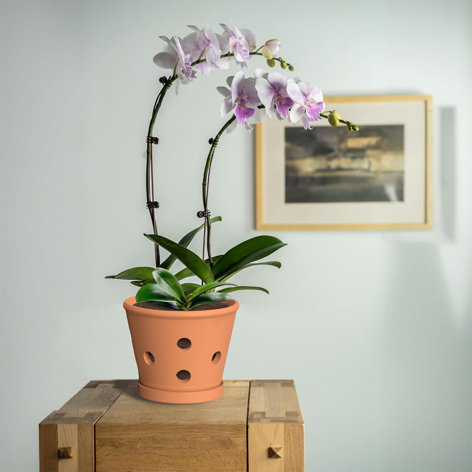 Orchideentöpfe aus Terrakotta, 15,2 cm, Orchideentopf mit Löchern und Untersetzern, 3 Stück, Ton-Orchideen-Pflanztöpfe zum Umtopfen, Terrakotta-Topf, großer Bulk-Blumentopf für drinnen und draußen,