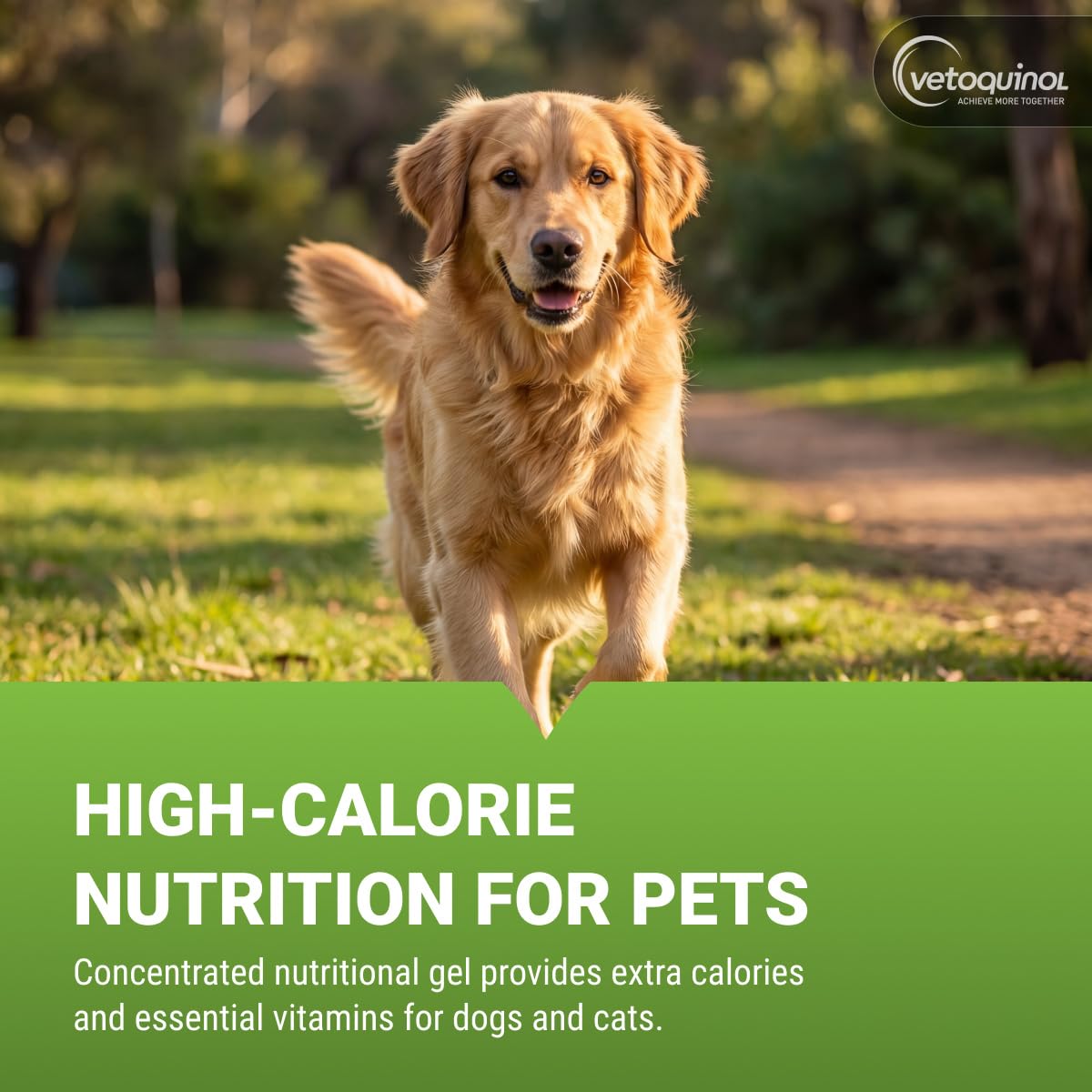 Vetoquinol Nutri-Cal - High-Calorie Nutritional Gel - Supports Daily Nutrition for Picky Eaters - Essential Nutrients & Vitamins for Cats & Dogs - Easy Feeding Oral Gel - 4.25 oz product thumbnail 3