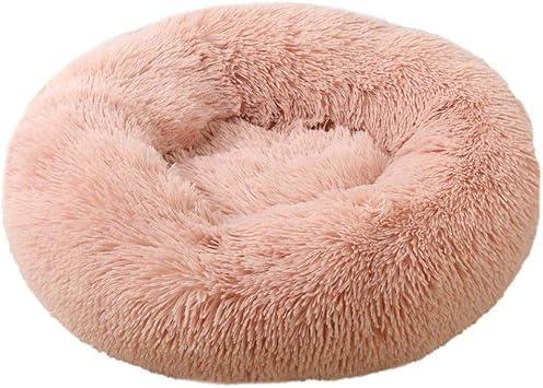 amazon dog cave