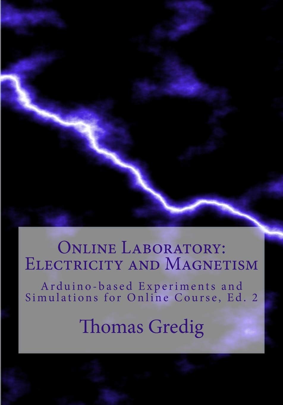Online Laboratory: Electricity and Magnetism: Home Experiments and Simulations