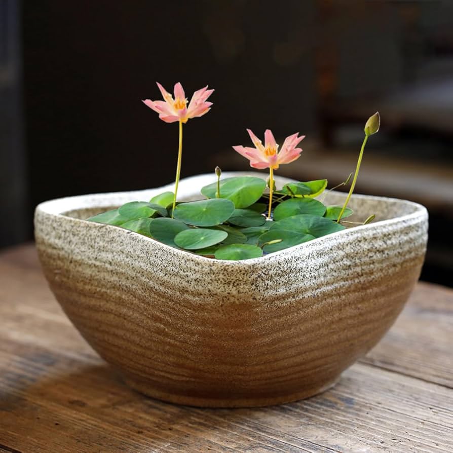 Amazon.co.jp: 植木鉢 陶器鉢 水耕栽培 深鉢 底穴無し 金魚鉢