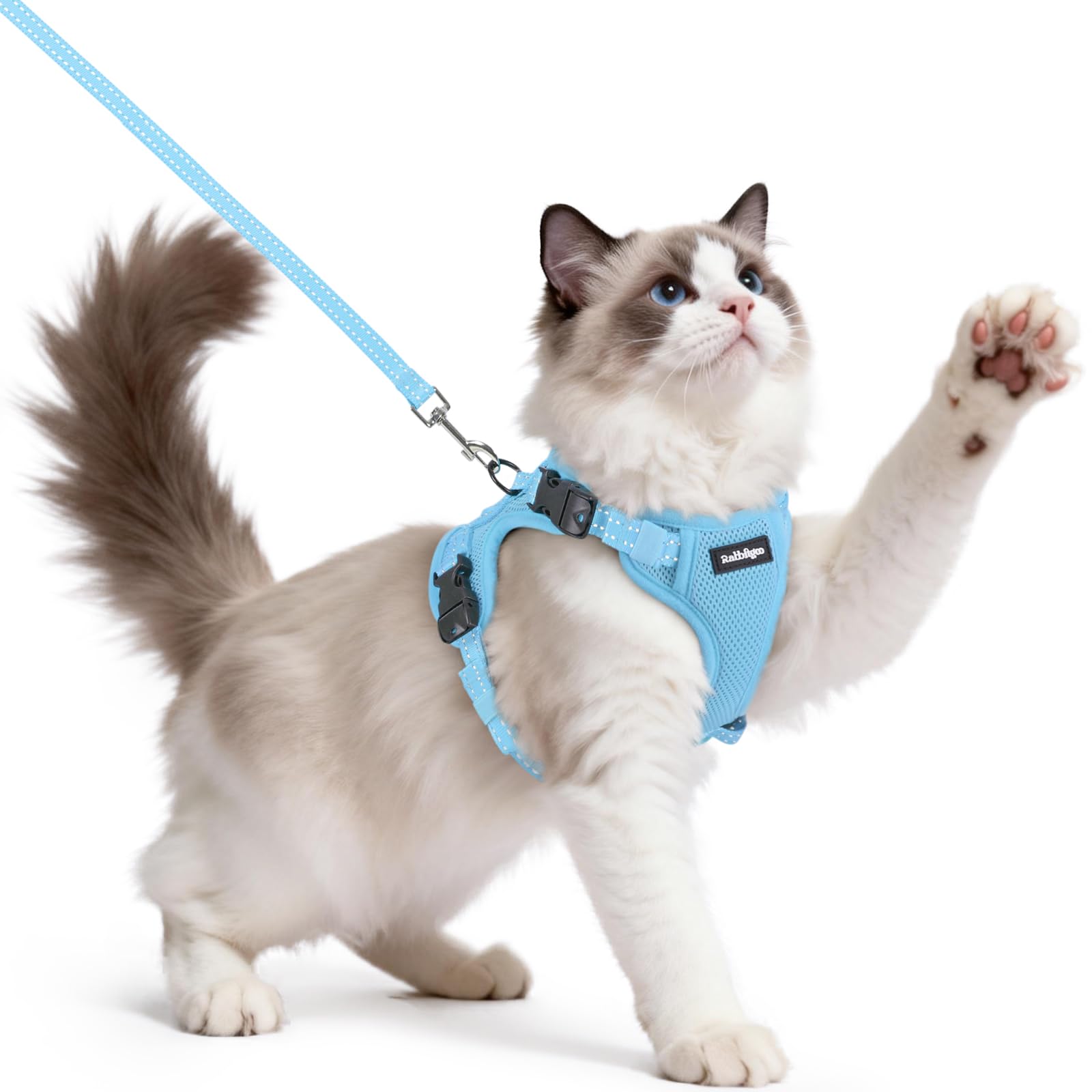 rabbitgoo Cat Harness and Lead Set, Escape Proof Kitten Harness with 3 Adjustable Buckles, Soft Comfortable Cat Vest with Leash, Easy to Wear, Reflective for Safe Outdoor Walking, Medium, Sky Blue