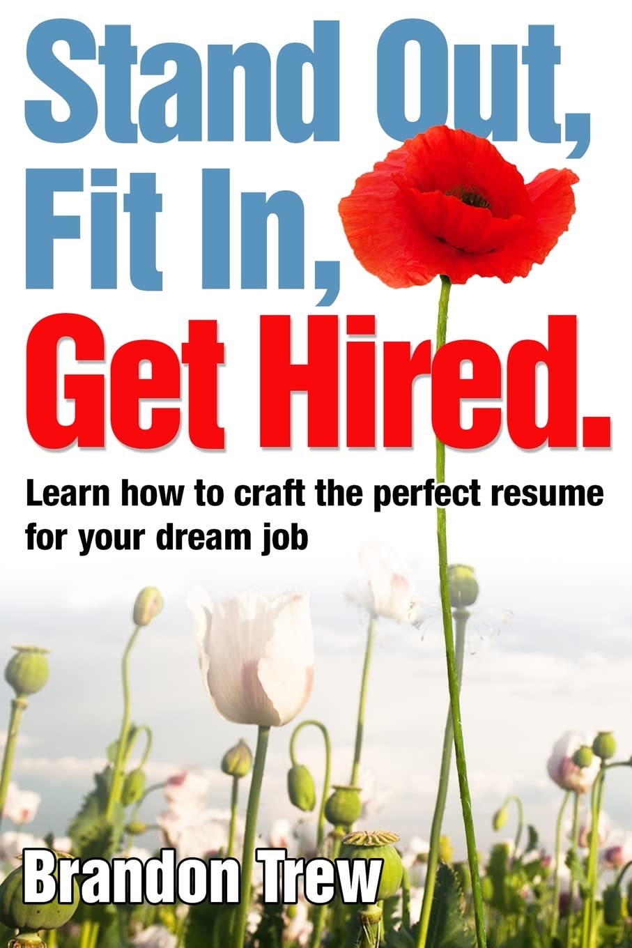 Stand Out, Fit In, Get Hired: Learn how to craft the perfect resume for your dream job