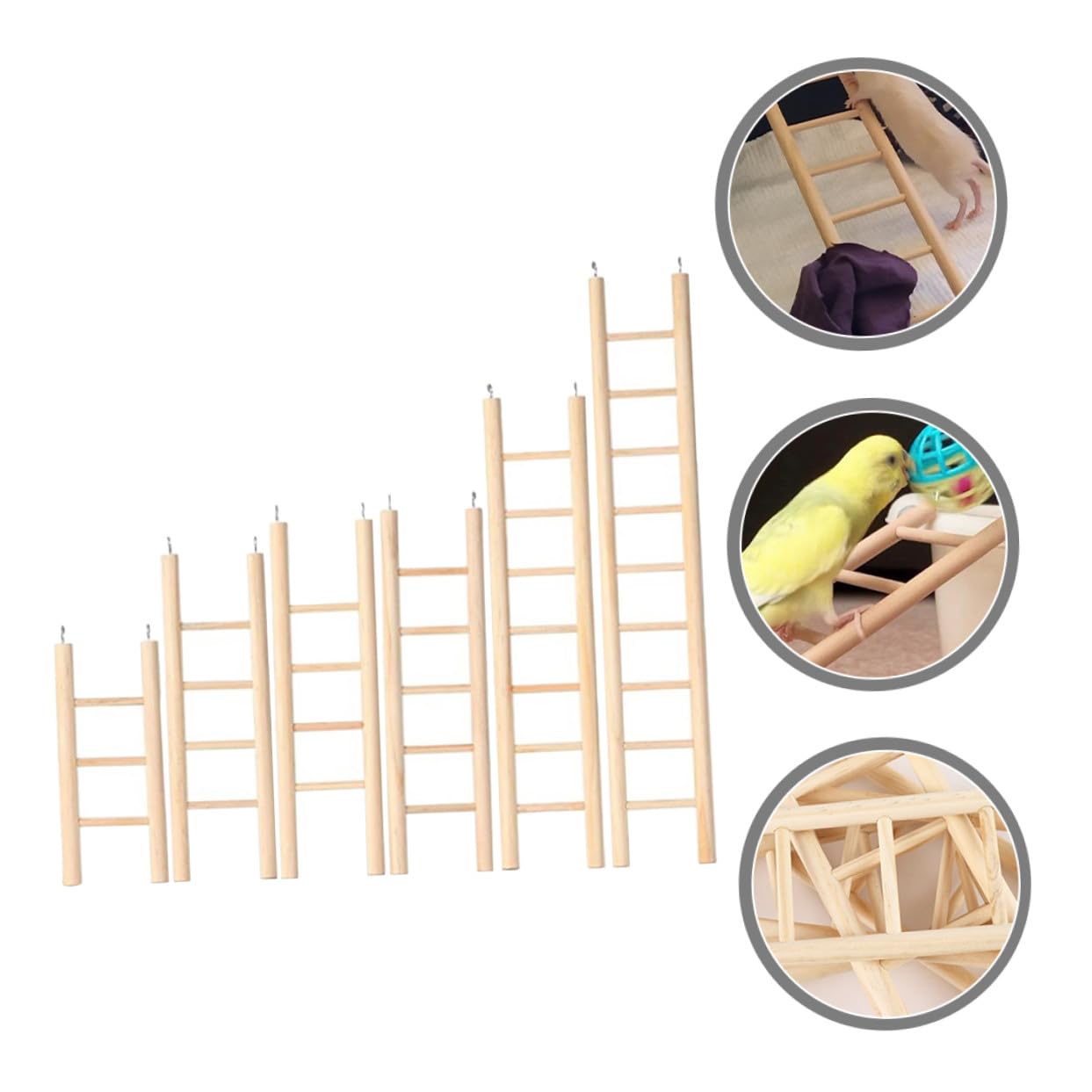 Set 6 Scale in Legno per Pappagalli e Piccoli Calopsite, Giocattolo Arrampicata da Gabbia Appeso, per Arricchire le Attività e Affilare gli Artigli