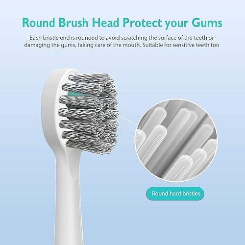 Miniatura 9 de 3 unidades  5 cabezales de cepillo de dientes para hilo dental  Cabezal de cepillo de hilo dental compacto de repuesto con tapa de cristal para