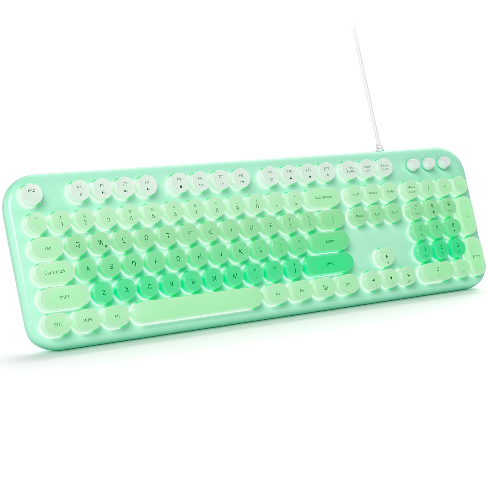 Wired Keyboard with Backlit, Light Up Computer Keyboards with Multimedia Keys, Full Size Wired Keyboard With Illuminated LED, Plug and Play, Anti-Wear Letters for Laptop, Desktop- Green Colorful